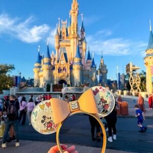 Disney×Dooney & Bourke Collector!! ♡♡♡